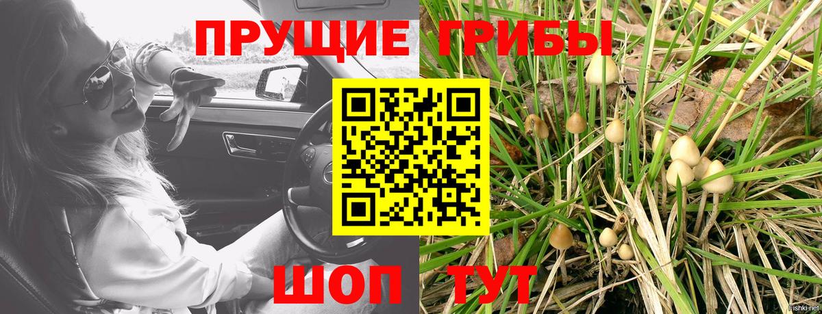 Галлюциногенные грибы ЛСД  дарнет шоп  Псилоцибиновые грибы мухоморы  Рославль  Вход с VPN 