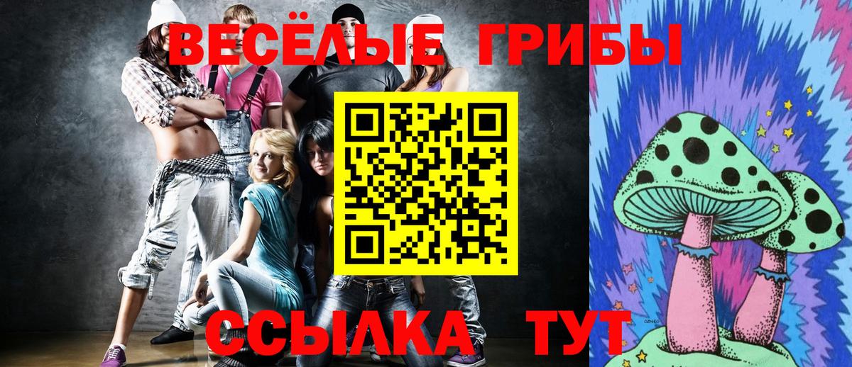 Псилоцибиновые грибы GOLDEN TEACHER Рославль